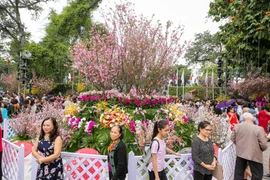 Sáng 24/3 tại Tượng đài Lý Thái Tổ, hàng vạn người dân Thủ đô đã đến tham dự Lễ hội hoa anh đào 2018. (Ảnh: Minh Sơn/Vietnam+)