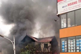 (Ảnh: PV/Vietnam+) 