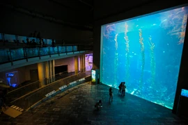 Nằm ở phía bắc Khẩn Đinh, một thị trấn nhỏ ở phía nam Huyện Bình Đông (Đài Loan), National Museum of Marine Biology and Aquarium – Bảo tàng hải dương và thuỷ cung quốc gia được xem là thủy cung lớn nhất Đài Loan. Nơi đây cũng sở hữu một trong những đường 