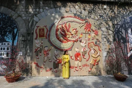 Sáng 3/2, phố bích họa Phùng Hưng đã chính thức được khai trương trong niềm mong chờ của rất nhiều người dân Thủ đô. (Ảnh: Minh Sơn/Vietnam+)