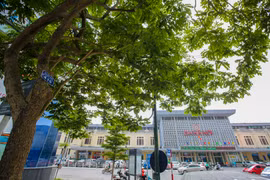 Để chuẩn bị mặt bằng thi công ga ngầm S10 - Cát Linh và S12 - Trần Hưng Đạo thuộc tuyến đường sắt đô thị Hà Nội đoạn Nhổn - ga Hà Nội. Ban Quản lý đường sắt đô thị Hà Nội (MRB) đã lên kế hoạch di dời, chặt hạ cây xanh quanh kh