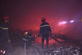 (Ảnh minh họa: Nguyễn Nam-TTXVN)