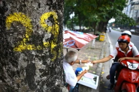 (Ảnh chỉ có tính minh họa: Minh Quyết/TTXVN)