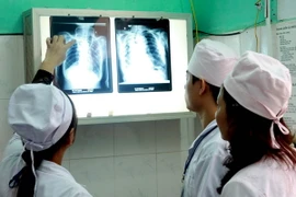 (Ảnh minh họa: Dương Ngọc/TTXVN)