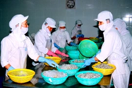 Chế biến tôm đông lạnh xuất khẩu tại nhà máy Âu Vững, thị xã Giá Rai. (Ảnh: Huỳnh Sử/TTXVN)