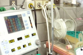 (Ảnh minh họa: Dương Ngọc/TTXVN)