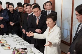 Tổng thống Hàn Quốc Park Geun-hye trong cuộc gặp báo giới ở Seoul ngày 1/1. (Nguồn: YONHAP/TTXVN)