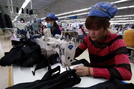 (Ảnh minh họa: Trần Việt/TTXVN)