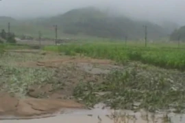 Cảnh ngập lụt ở Daegwan, tỉnh South Hamgyong năm 2012. (Nguồn: YONHAP/TTXVN)