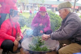 Lễ hội Hương sắc trà Xuân năm 2016. (Ảnh: Thu Hằng/TTXVN)