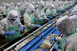 (Ảnh minh họa: Kim Há/TTXVN)