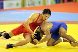 Đội tuyển vật Việt Nam sẵn sàng tranh huy chương vàng