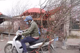 [Video] Vui xuân đón Tết nhưng vẫn đảm bảo phòng dịch COVID-19
