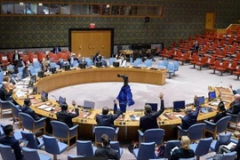 Việt Nam đề cao vai trò của pháp lý trong giải quyết bạo lực trên mạng