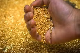 Giá vàng châu Á vượt ngưỡng 1.800 USD trước khi Fed kết thúc họp