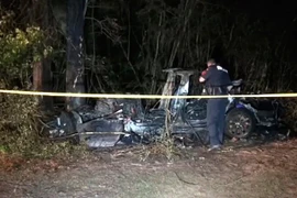 (Nguồn: nytimes.com)