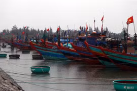 Các phương tiện, người lao động ở Thanh Hóa đã vào tránh trú an toàn 