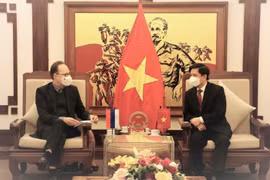 Thúc đẩy hợp tác Việt Nam-Nga trong lĩnh vực giao thông vận tải 