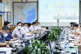 (Ảnh: TTXVN phát)