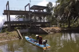 (Ảnh: Duy Khương/TTXVN)