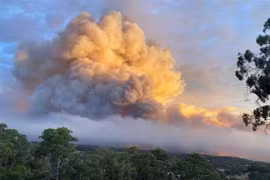 Lửa cháy rừng bùng phát tại Cherry Gardens, ngoại ô Adelaide, Australia. (Ảnh: ABC News/TTXVN)