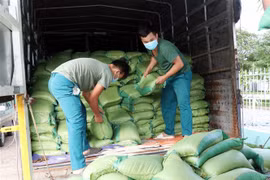 Loạt chính sách hỗ trợ doanh nghiệp nổi bật tuần qua của địa phương
