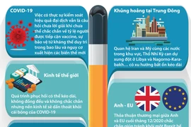 [Infographics] Giới chuyên gia dự báo về kinh tế thế giới trong 2021