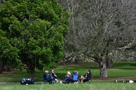 Dịch bệnh ở Australia có tín hiệu giảm, New Zealand gia hạn phong tỏa