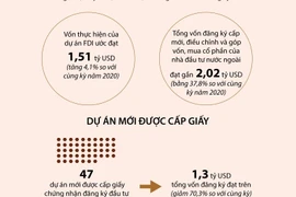 [Infographics] Vốn FDI tăng gần 2,8 lần trong tháng Một