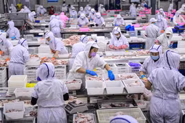 Fitch Ratings hạ dự báo tăng trưởng của kinh tế Trung Quốc