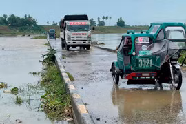 Hàng nghìn người Philippines vẫn phải sơ tán sau bão Chan Thu