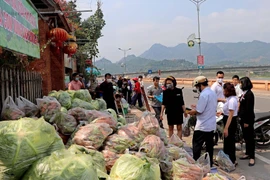 Các mặt hàng nông sản bắp cải, cà rốt... của nông dân Hải Dương được bày bàn tại điểm giải cứu ở Hòa Bình. (Ảnh: Thanh Hải/TTXVN) 