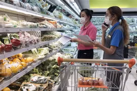 (Ảnh: Mỹ Phương/TTXVN)