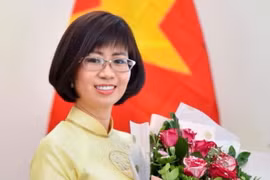 Bà Lê Thị Hồng Vân, Đại sứ, Trưởng đại diện phái đoàn Việt Nam bên cạnh Tổ chức Giáo dục, Khoa học và Văn hóa Liên hợp quốc (UNESCO)