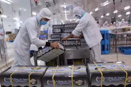 [Video] Tỉnh Bắc Ninh quản lý công nhân bằng đồng hồ gắn chip