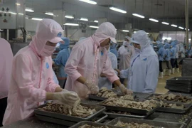 ICAEW: Việt Nam dự kiến sẽ có mức tăng trưởng cao vào năm 2022