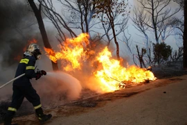 Nhân viên cứu hỏa nỗ lực khống chế đám cháy rừng tại Varybobi, Acharnes, Hy Lạp. (Ảnh: THX/TTXVN)