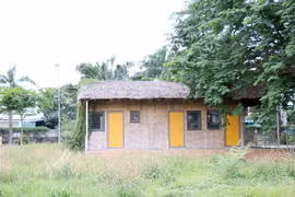 (Ảnh: Tiến Lực/TTXVN)