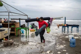 Lở đất do mưa bão tại Mexico khiến ít nhất 8 người thiệt mạng 
