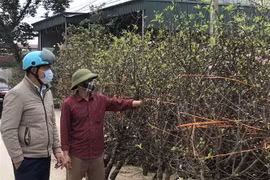 (Ảnh minh họa. Khiếu Tư/TTXVN)