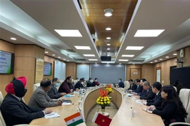 Phó Thủ tướng làm việc với lãnh đạo Viện Chuyển đổi quốc gia Ấn Độ