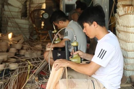(Ảnh: Đỗ Phương Anh/TTXVN)