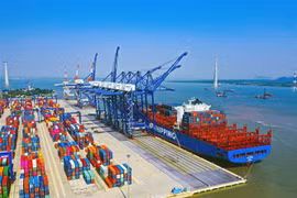 (Ảnh: Đức Nghĩa/TTXVN phát)