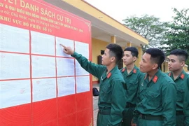 (Ảnh: Trọng Đức/TTXVN)