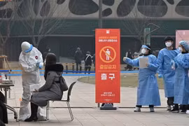 Nhân viên y tế lấy mẫu xét nghiệm COVID-19 tại Seoul, Hàn Quốc. (Ảnh: AFP/TTXVN)