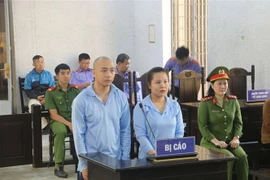 Hai bị cáo tại phiên tòa. (Ảnh: TTXVN phát)