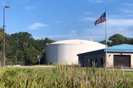 (Nguồn: wusfnews.wusf.usf.edu)