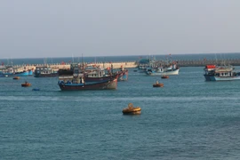 Tàu cá của ngư dân Việt Nam vươn khơi khai thác hải sản. (Ảnh: TTXVN)