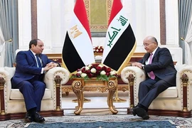 Ai Cập bác bỏ mọi sự can thiệp của nước ngoài vào các vấn đề của Iraq