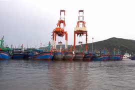 Thực hiện nghiêm công điện của Thủ tướng về ứng phó với bão, mưa lũ